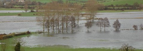 floodfields